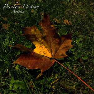 白袜体育生Tube吃Gay
